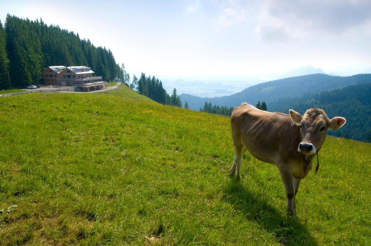 BöckLodges Nesselwang Exterior foto